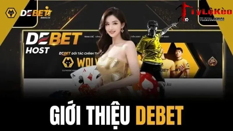 Giới thiệu tổng quan về Debet