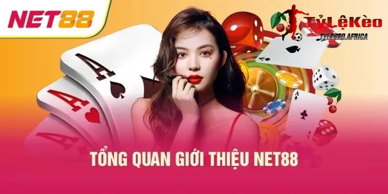 Tổng quan giới thiệu về NET88