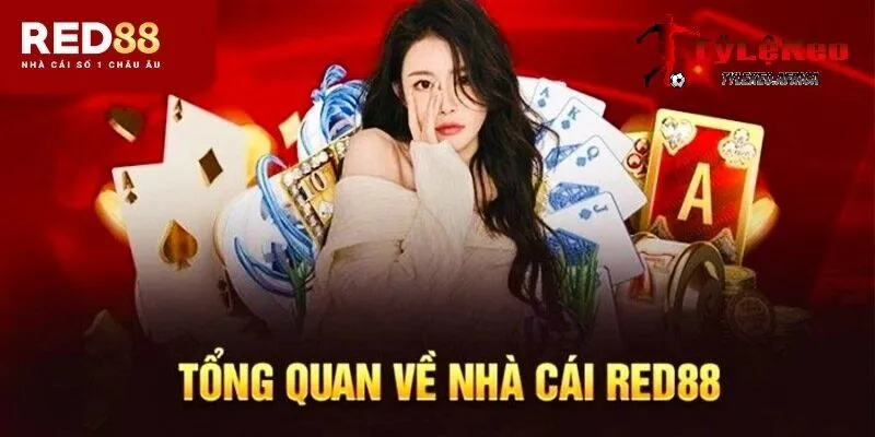 Tổng quan về nhà cái Red88